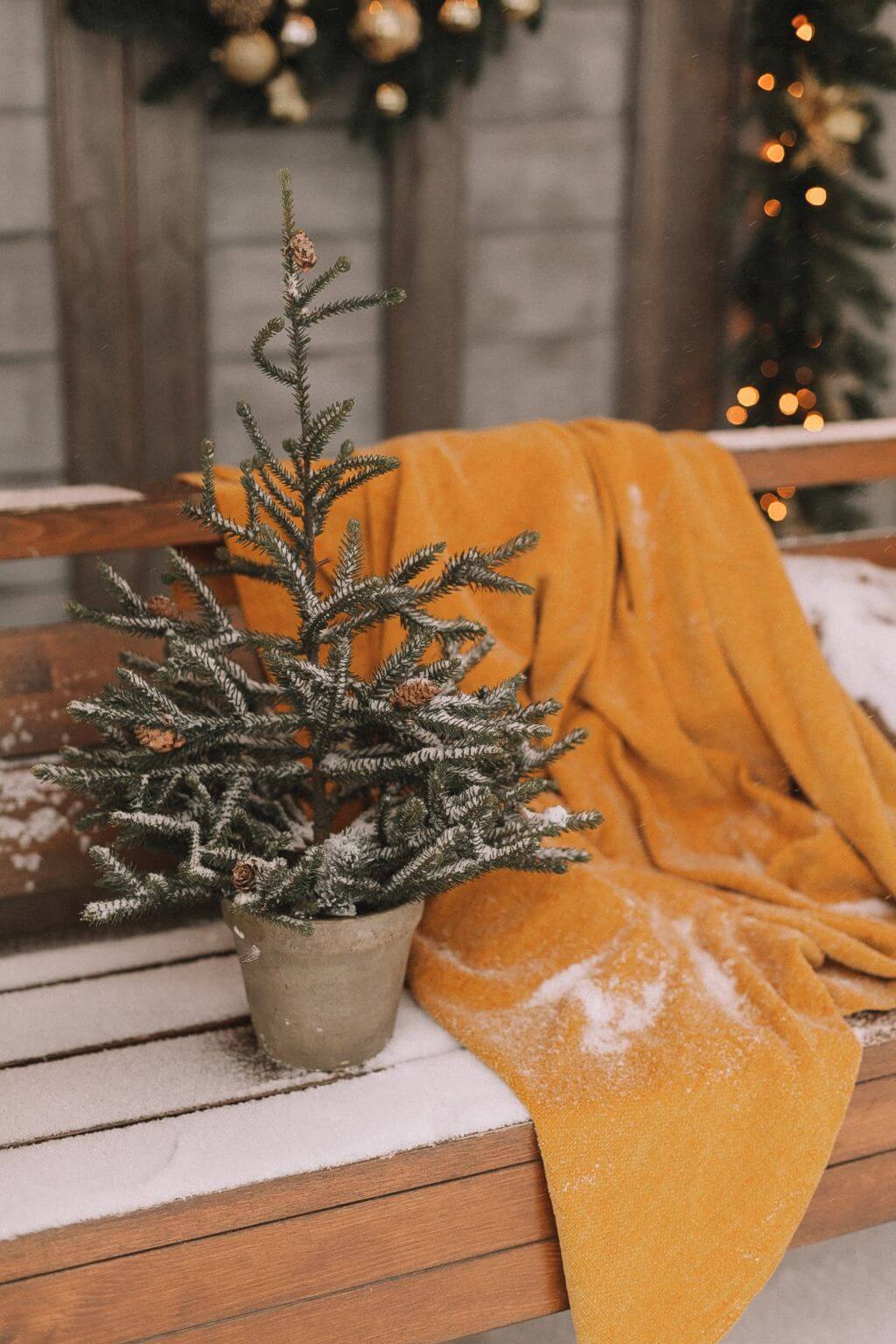 pexels-vika-kirillova-10727607