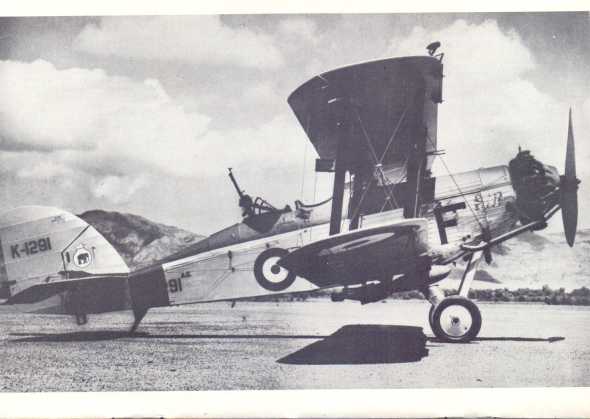 Westland Wapiti